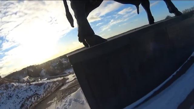 Рождество в Таллине Часть 2 В поисках Струве смотреть онлайн