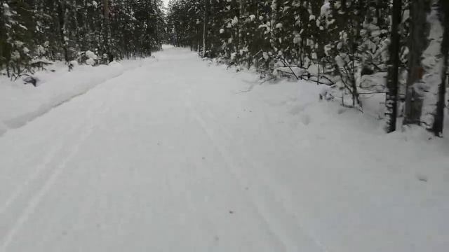 Утренняя разминка @snowbrosnowskates9422 смотреть онлайн
