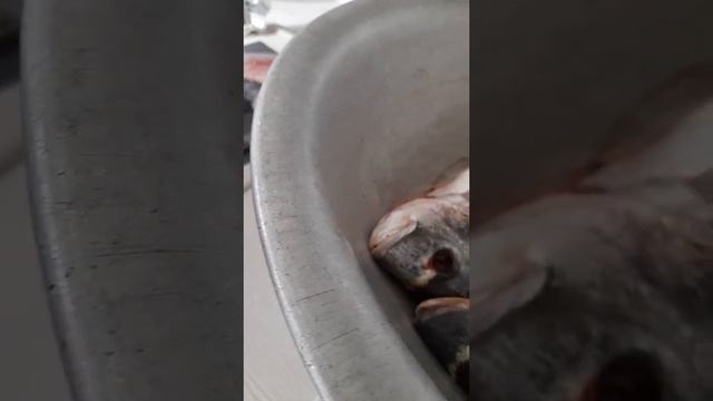 как разделывать рыбу?????????????