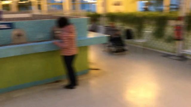 Уникальные питьевые лечебные воды курорта Виши смотреть онлайн