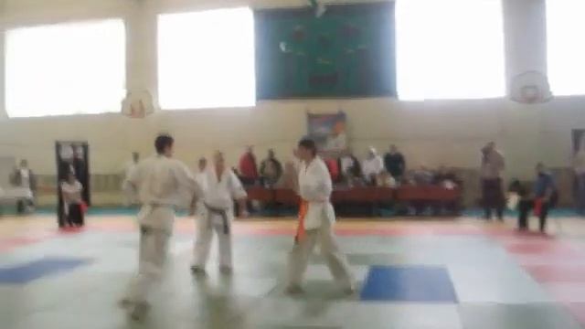 campion moldovei .2010 смотреть онлайн