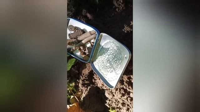 quest X5 Копаем парк в Згуровке. Женский коп ? Фишки от Маришки ✌️ смотреть онлайн