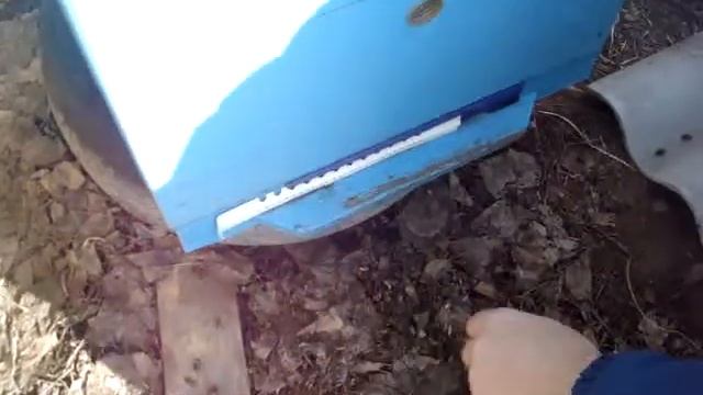 канди первая подкормка смотреть онлайн