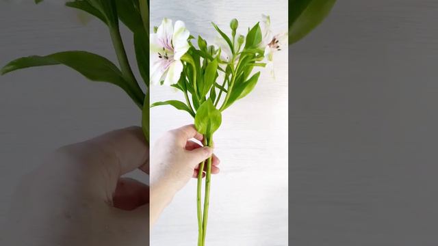 Альстромерии из полимерной глины. смотреть онлайн