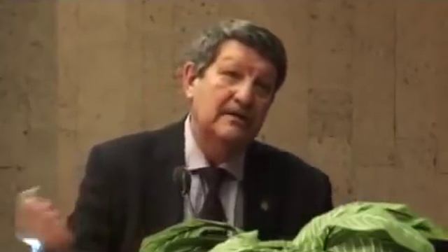 Андрей Синельников. Версии Куликовской битвы / Протоистория смотреть онлайн