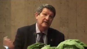 Андрей Синельников. Версии Куликовской битвы / Протоистория