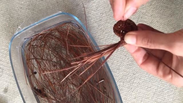 Weaving with pine needles- how to start from scratch смотреть онлайн