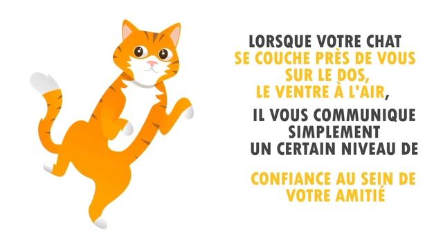 Le langage corporel du chat expliqué | Incroyablement Top смотреть онлайн