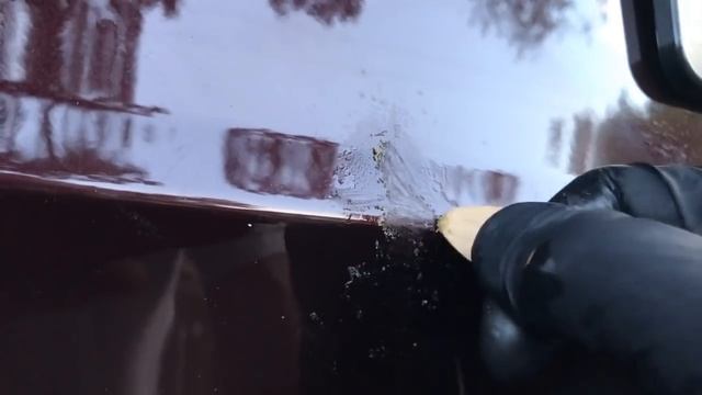 How To Remove Tree Sap From Car Paint