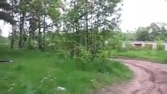 На Атамане в лесу смотреть онлайн