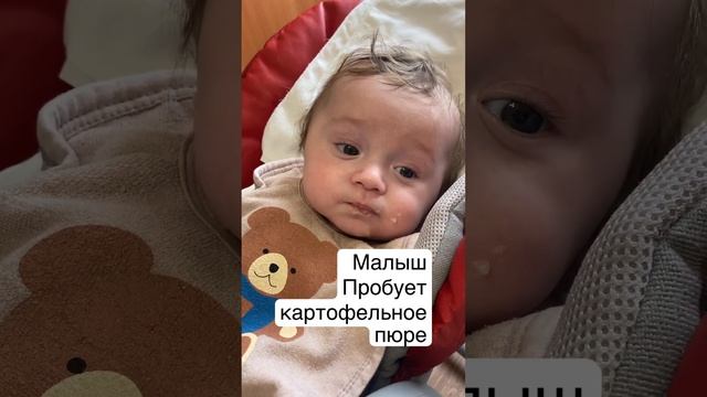 Малыш 6 месяцев пробует картофельное пюре#shots смотреть онлайн
