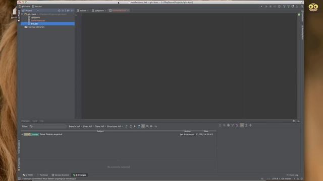 Git Schulung - Alltag mit einer IDE (PhpStorm) смотреть онлайн