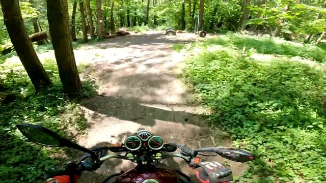 Лес горка карьеры смотреть онлайн