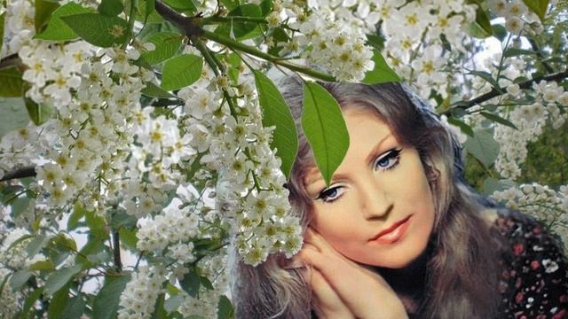 "Майские прохлады" Сл.Н.Корычева, муз., исп. А.Булатов смотреть онлайн