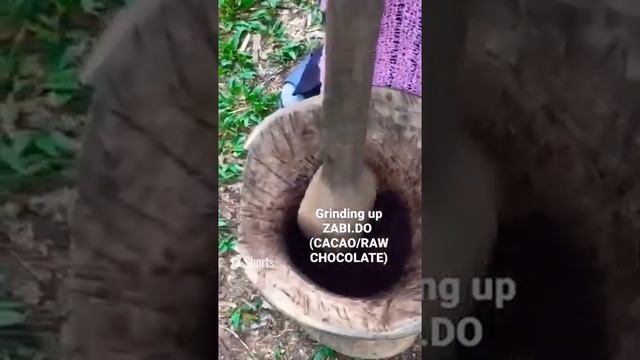 Raw Chocolate 🍫 Cacao | TortugaTERRA (EARTH)®™ Project | GeoCOMPASS-eX®™ смотреть онлайн