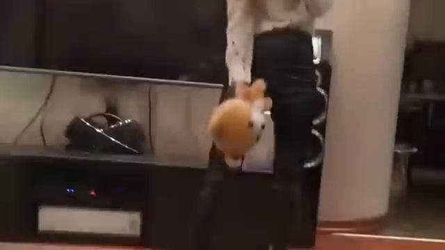 Забавная Анна Хилькевич танцует с дочокй смотреть онлайн