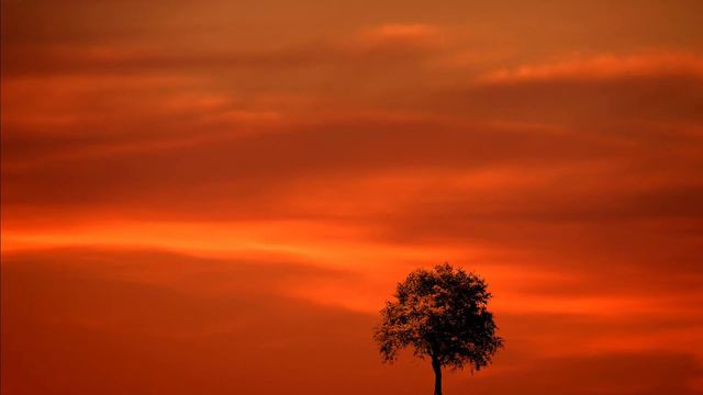 BAUM MEDITATION смотреть онлайн