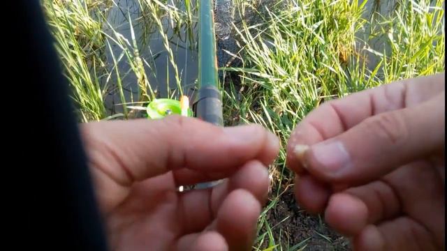 На рыбалку с Серёгой смотреть онлайн