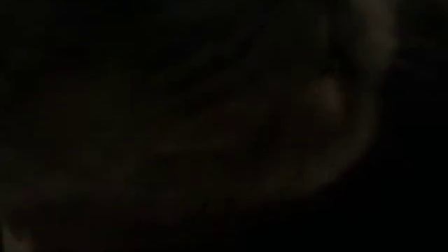 коту что то снится!