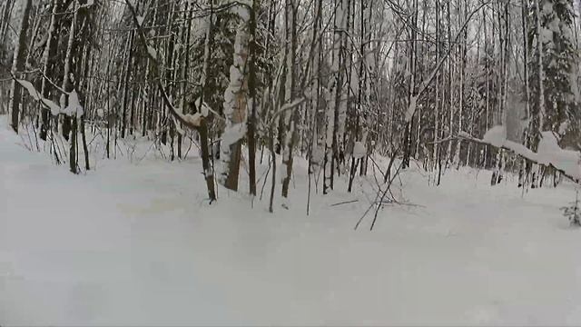 Digma DiCam 880 4k день смотреть онлайн
