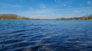 На что ловить Язя. Лучшие наживки на язя.