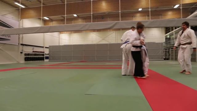 Hokutoryu Jujutsu Training Clips - Armlock Variations