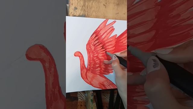Красный ибис ❤ #рисунок #арт #залипалка #shorts смотреть онлайн