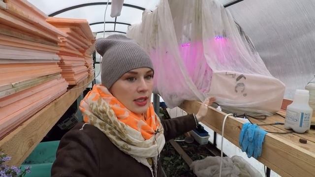 21 ОКТЯБРЯ❄.КАКИЕ НОВОСТИ?.2020