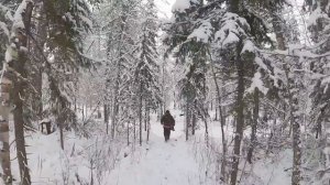 Хорошо посидели | Памяти Анатолию Блюме | Хозяин тайги