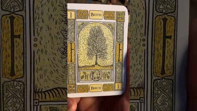 The Celtic tree oracle by LizAnd Colin Murray смотреть онлайн