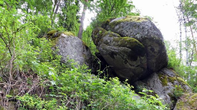 Белокуриха в подарок