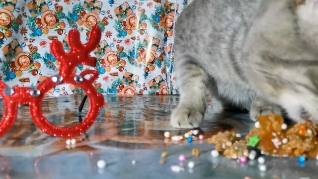 Асмр кошачий пряник. Asmr cat's gingerbread смотреть онлайн