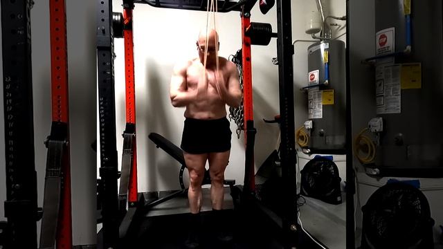 High Rep Band Press Downs For Triceps Tendon Health 11-5-2023!