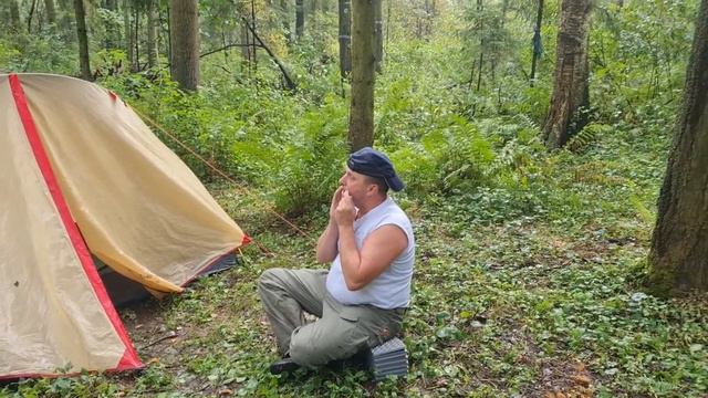 Дорога в Лавру смотреть онлайн