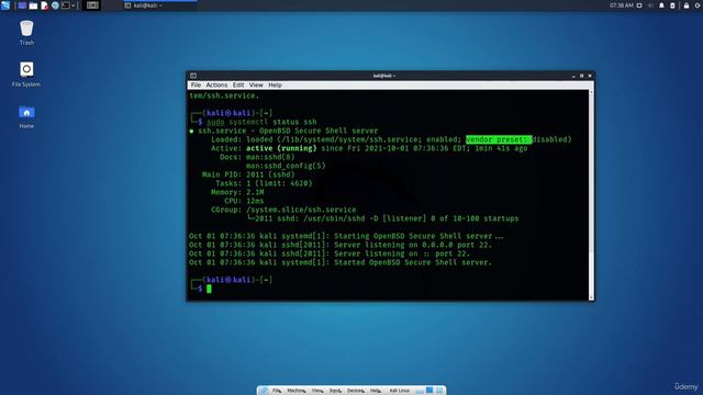 2.5. Managing Kali Linux Services смотреть онлайн