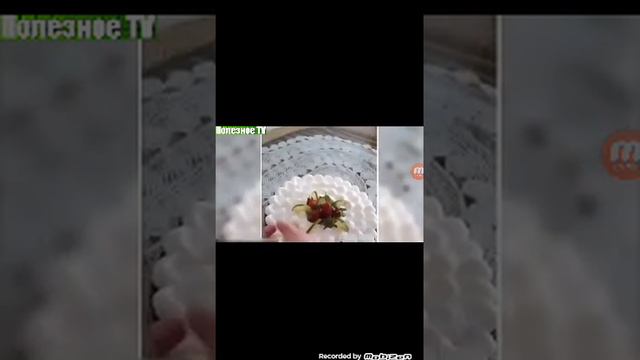 28 июня 2017 г. смотреть онлайн