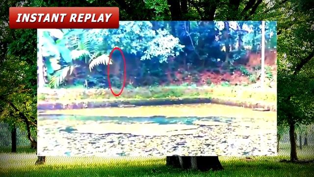 №4 Снятое на камеру Призрак парка смотреть онлайн