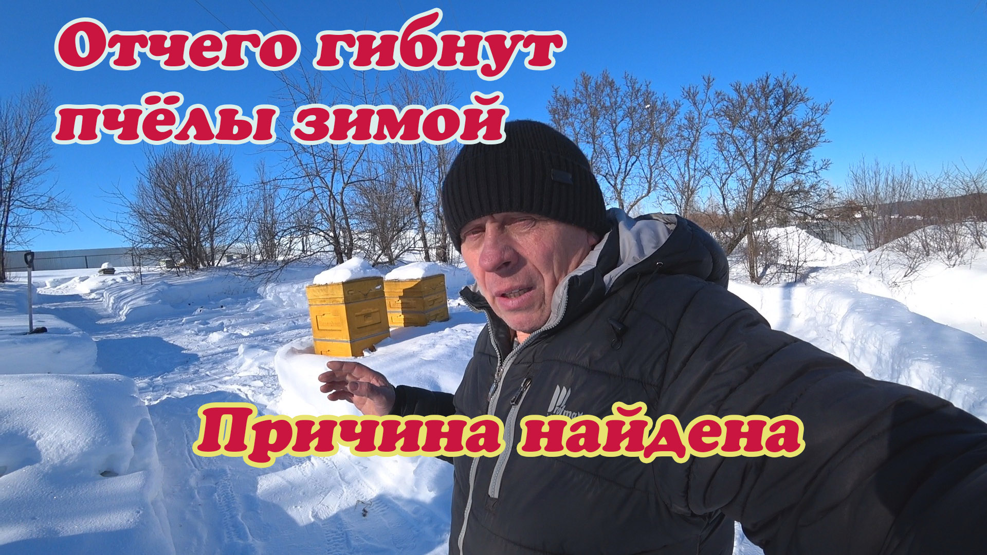 ОТЧЕГО ГИБНУТ ПЧЁЛЫ ВО ВРЕМЯ ЗИМОВКИ, А Я НАШЁЛ СВОЙ ВАРИАНТ. смотреть онлайн
