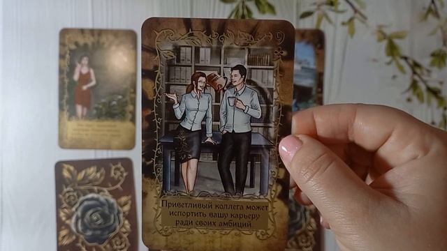 Послание от оракула Чёрной розы ? смотреть онлайн