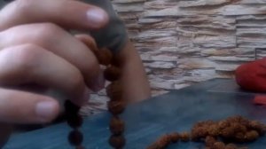 Рудракша. Четки из рудракши (правила ношения)