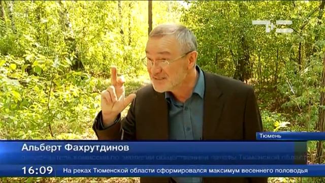 Экологи взяли под контроль реконструкцию лесопарка «Затюменский» смотреть онлайн