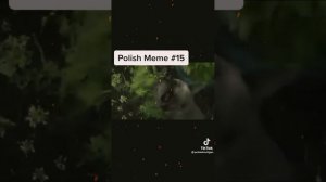 Польские мемы