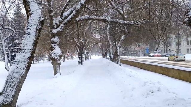 БЕЛАРУСЬ - ОДНО ИЗ СИЛЬНЕЙШИХ СТИХОТВОРЕНИЙ СЕРГЕЯ ЕСЕНИНА - ВИТЕБСК смотреть онлайн