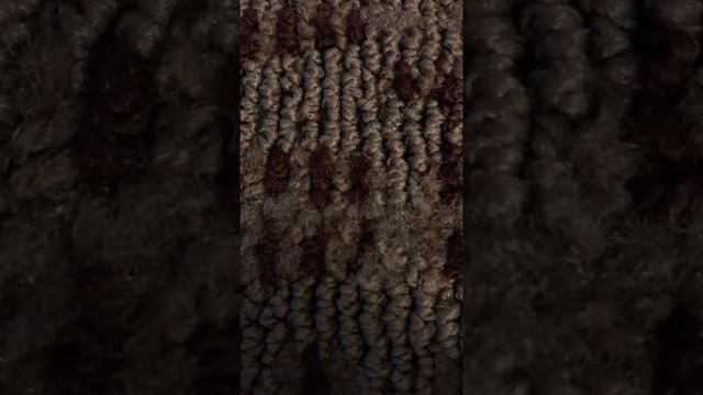 2018 Vid 5 - Bruce teaches Sheila life’s lessons смотреть онлайн