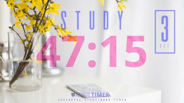 4 HOUR POMODORO TIMER  50/10 Study Timer with Beautiful Music | Flower Desk Visuals AESTHETIC TIMER