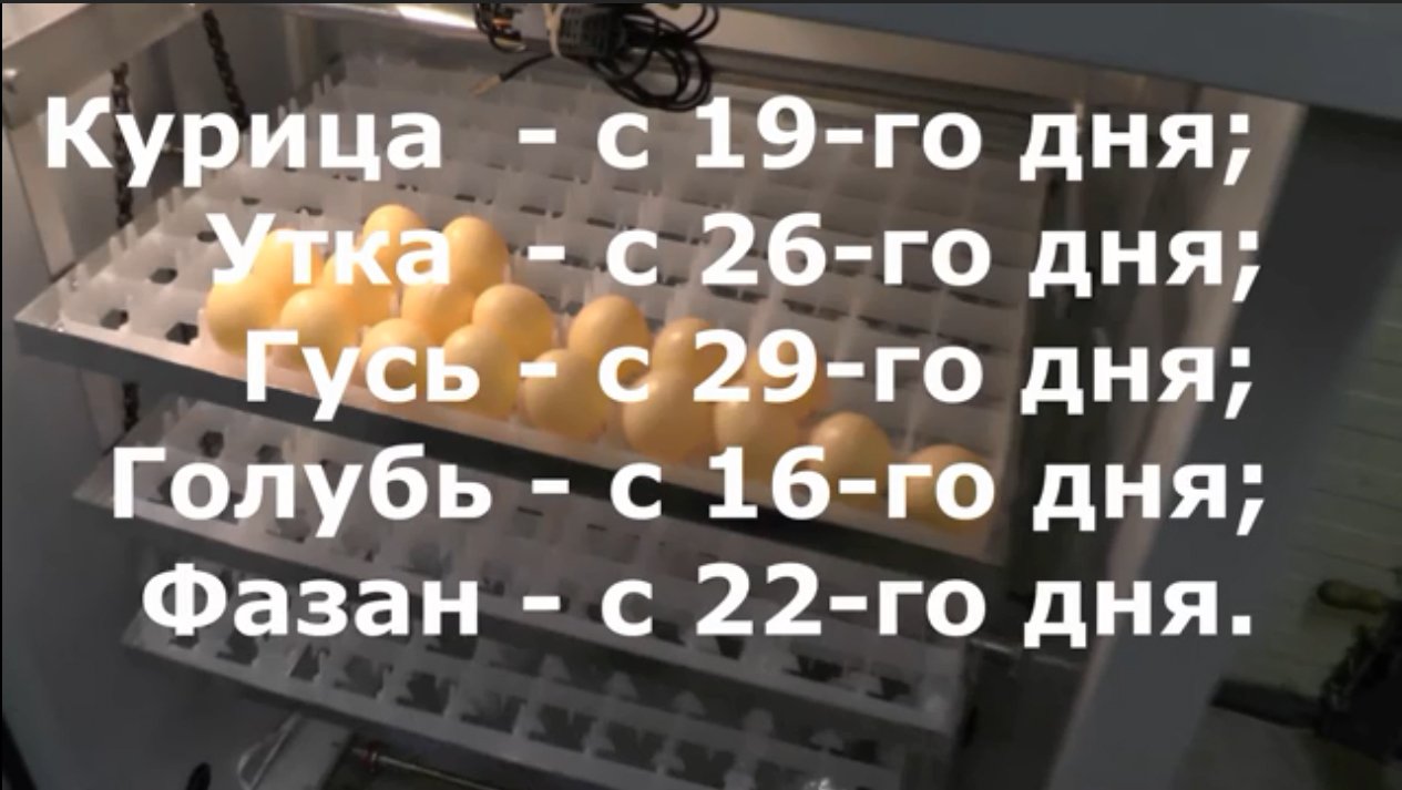 Инкубатор MJA инструкция.mp4 смотреть онлайн