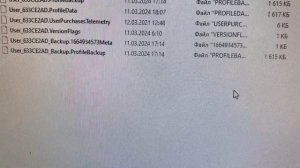 Как установить сохранение на форзу 4