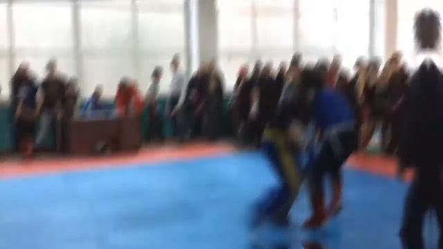 Кубок Краснограда по кикбоксингу 2017