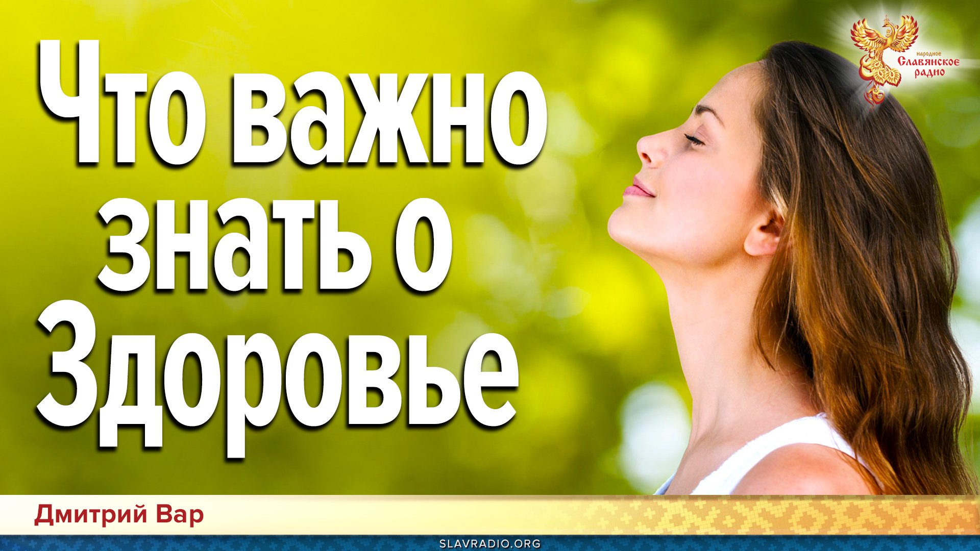 Как восстановить энергоновую систему Рода. Алексей Орлов
