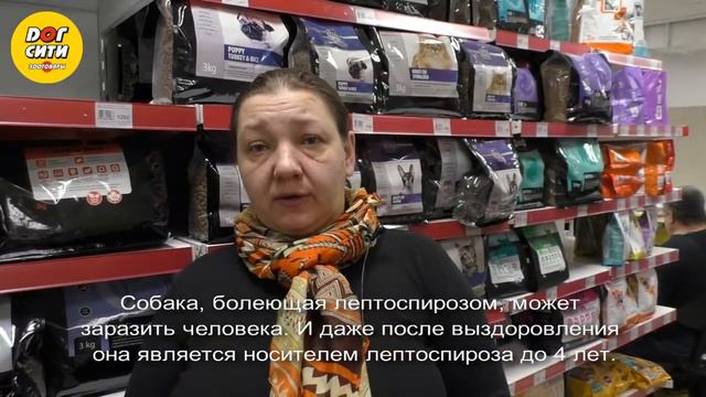 Вакцина от лептоспироза смотреть онлайн